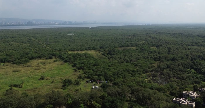 Ajmera Vikhroli East